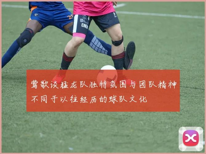 莺歌谈猛龙队独特氛围与团队精神不同于以往经历的球队文化