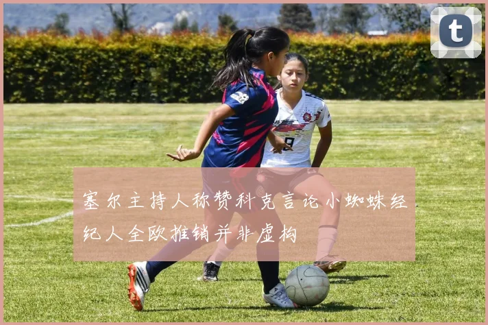 塞尔主持人称赞科克言论小蜘蛛经纪人全欧推销并非虚构